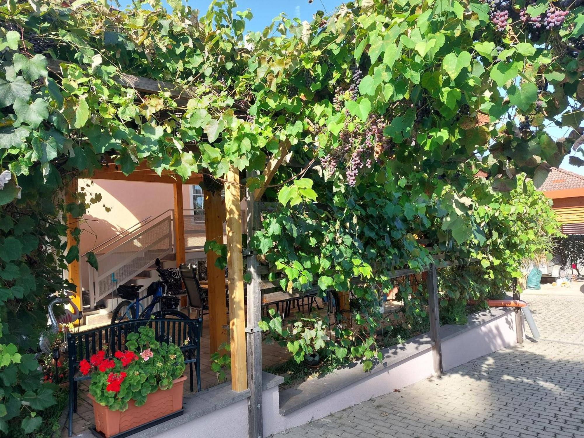 Ferienwohnung Gerti Пинкафельд Экстерьер фото